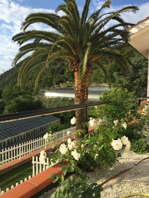 B&B Claro De Luna Tovo San Giacomo Εξωτερικό φωτογραφία